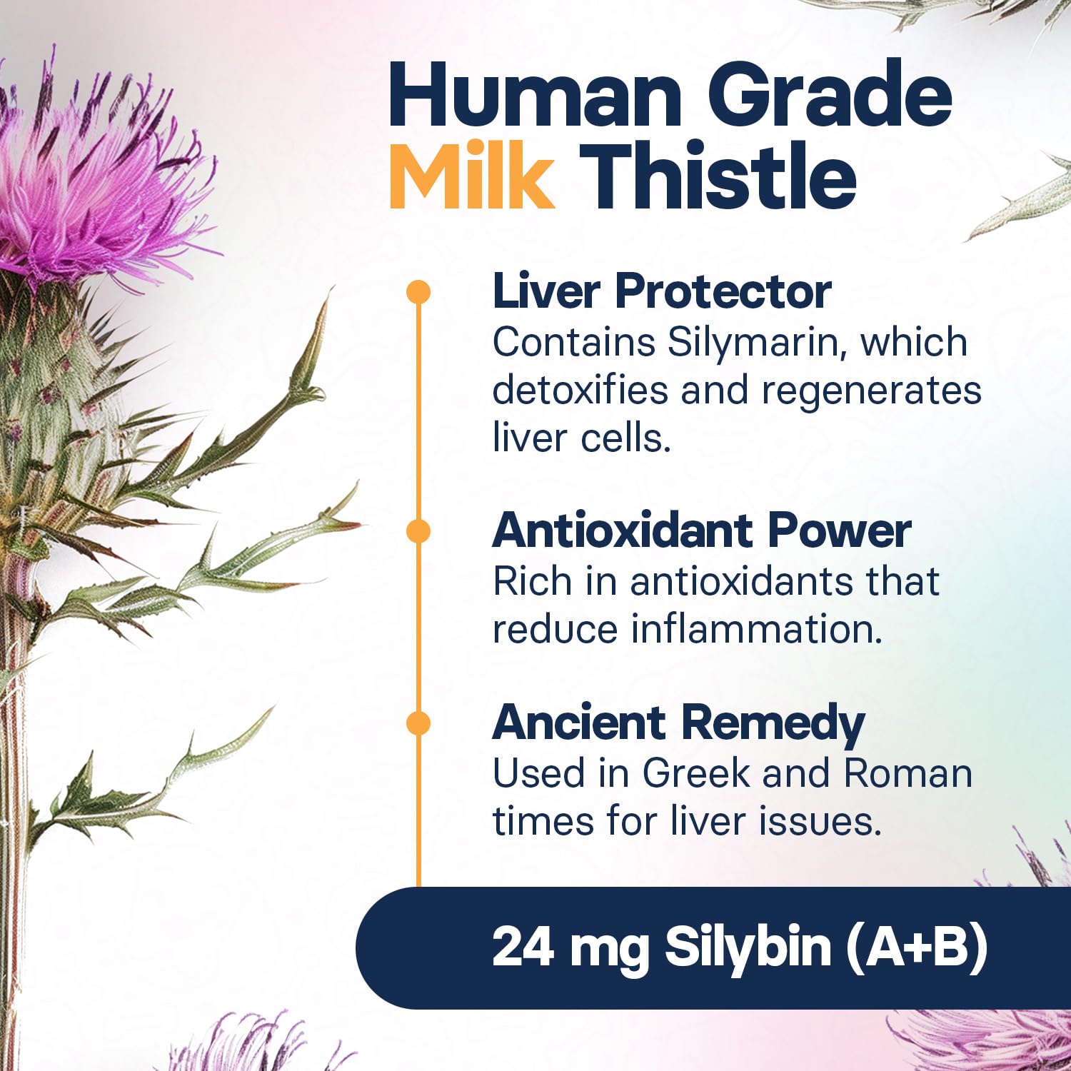 SilymarinAdvanced daily uncoated tablet displayed for simple administration