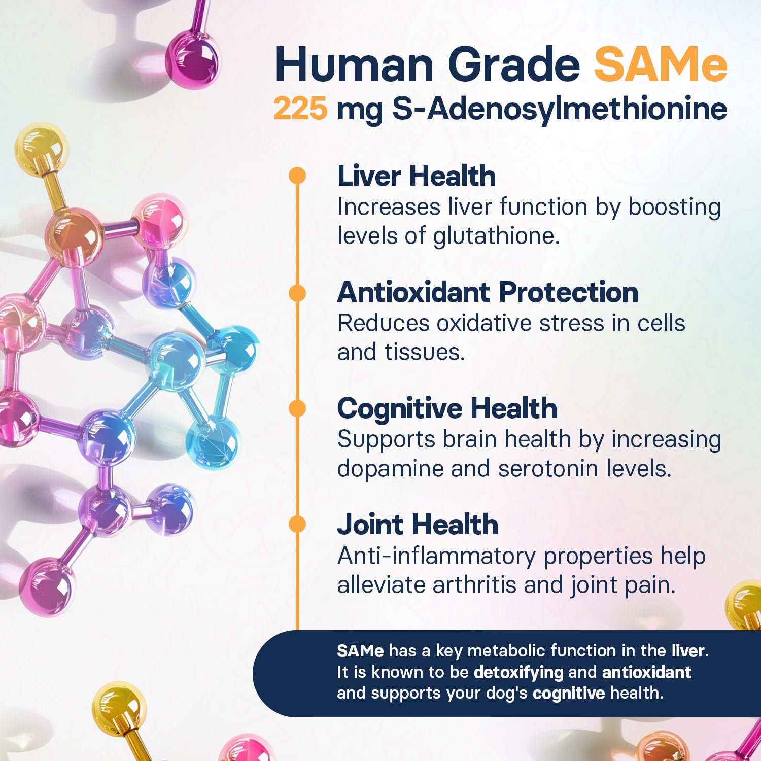 SilymarinAdvanced dog cognitive support concept highlighting mental vitality