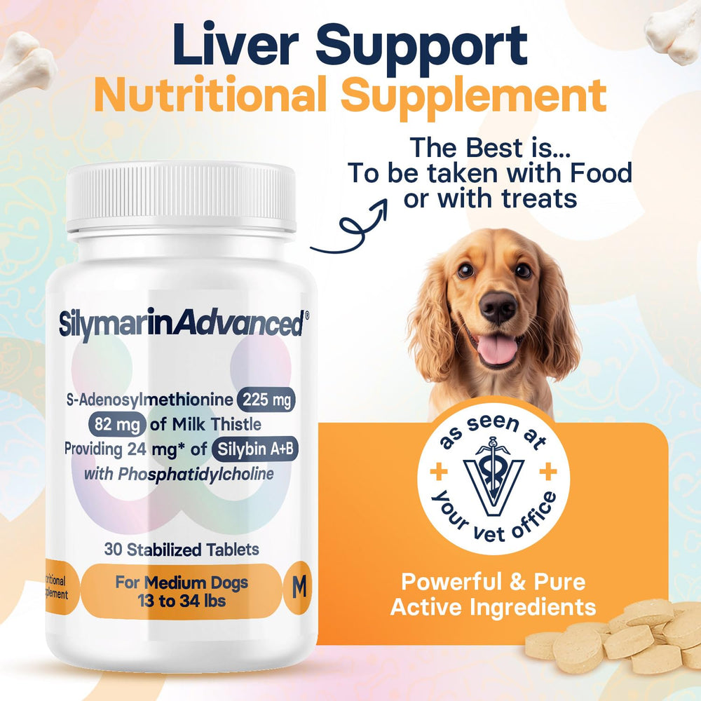 SilymarinAdvanced SAMe and Silybin combo supports canine liver function