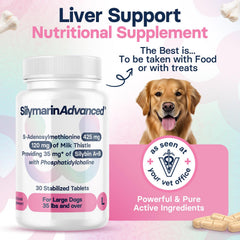 SilymarinAdvanced dog tablets close-up showing SAMe and silybin benefits.