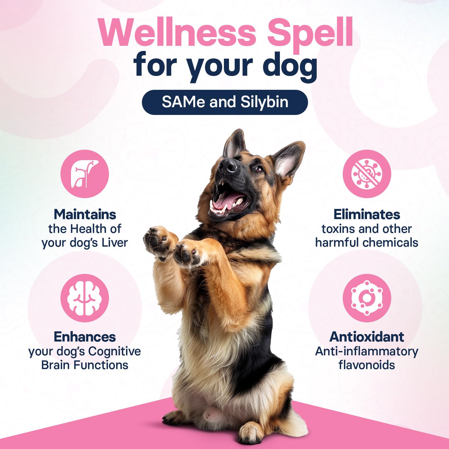 SilymarinAdvanced gluten-free non-GMO ingredients highlight purity for safe canine supplements.