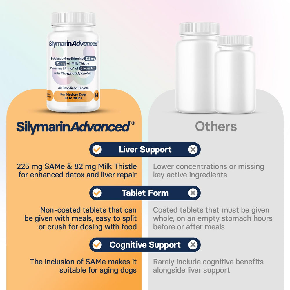 SilymarinAdvanced liver detox concept illustrating toxin elimination support