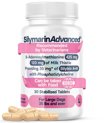 SilymarinAdvanced liver health bottle supports daily canine liver care.
