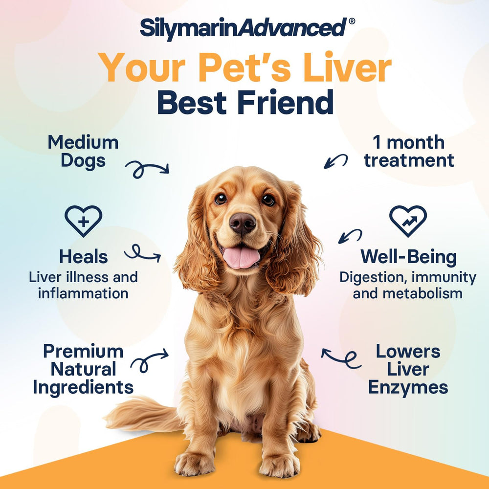 SilymarinAdvanced milk thistle dog supplement highlighting natural liver detox support