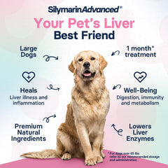 SilymarinAdvanced milk thistle label highlights natural ingredients and gluten-free, non-GMO formulation.
