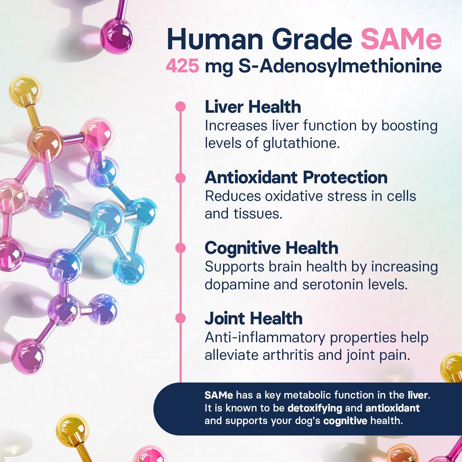 SilymarinAdvanced SAMe and silybin cognitive support promotes mental clarity during walks.