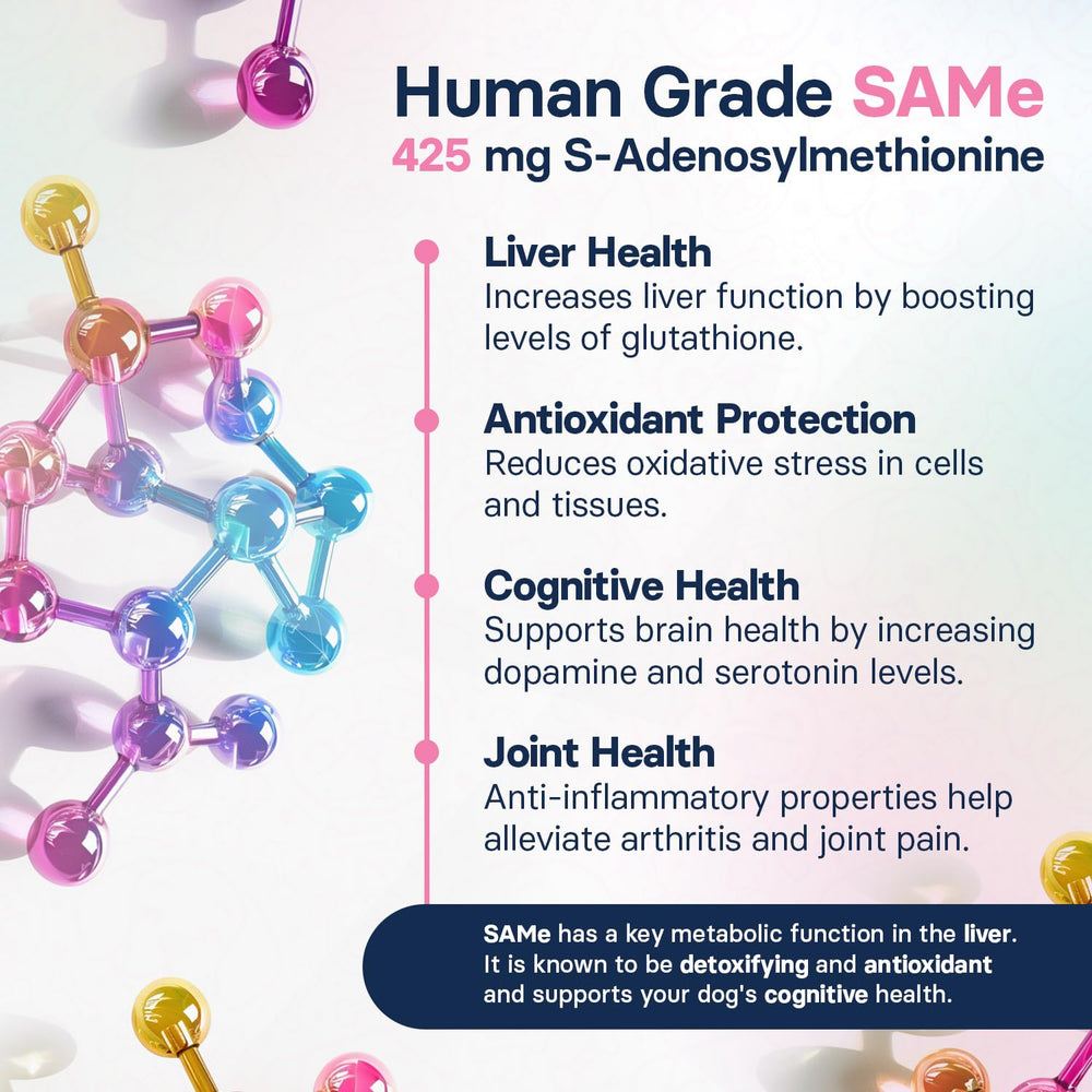 SilymarinAdvanced SAMe and silybin cognitive support promotes mental clarity during walks.