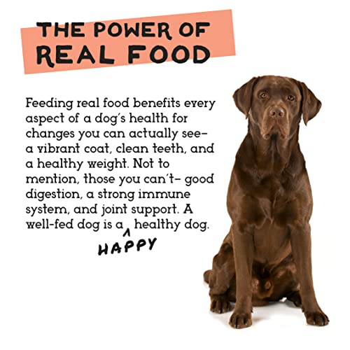 Simple Food Project 96oz bag ready for daily dog meals.