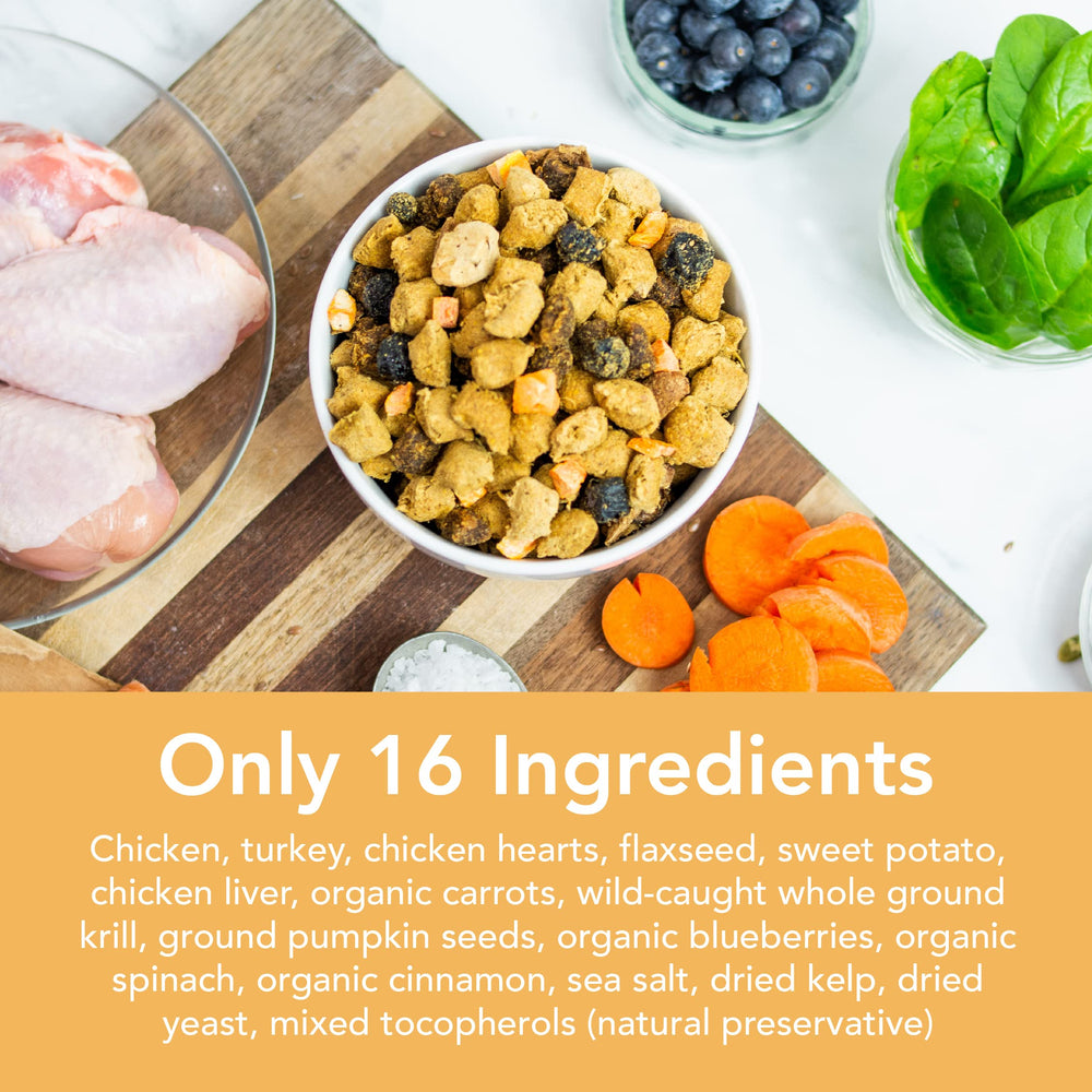 Simple Food Project balanced carnivore recipe rich in omegas.
