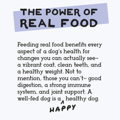 Simple Food Project small-batch Wisconsin facility emphasizes safety and quality.
