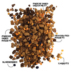 Simple Food Project close-up of freeze-dried raw meal for dogs, easy topper.
