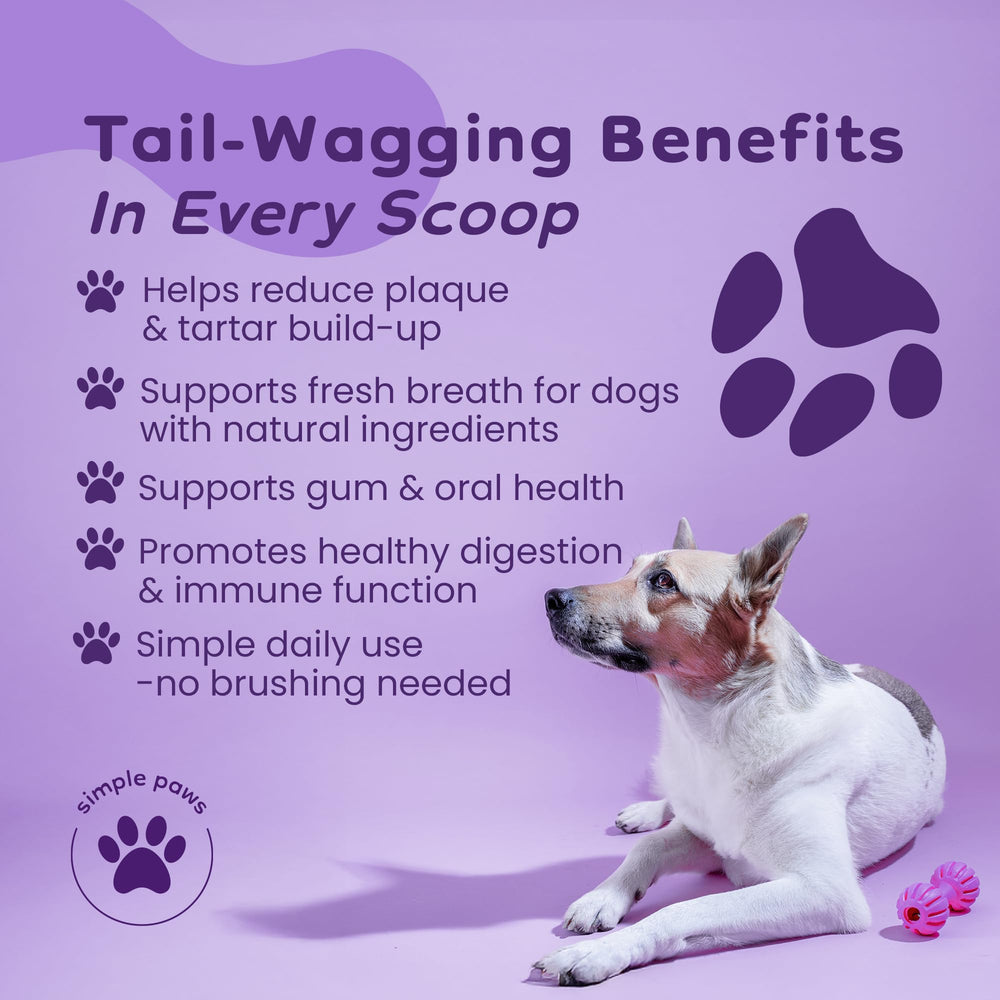 Simple Paws chicken flavored powder scoop shows easy dosing for daily care