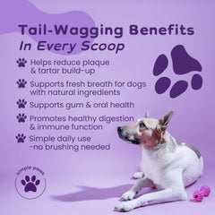 Simple Paws chicken flavored powder scoop shows easy dosing for daily care