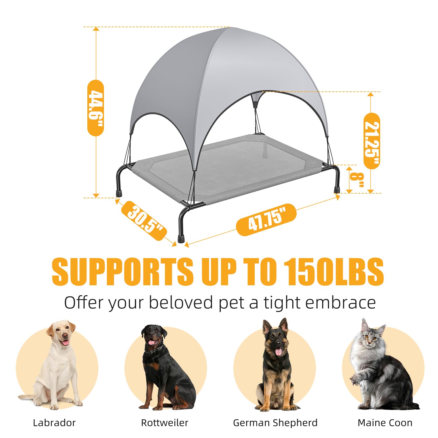 Simple Trending bed ready for indoor-outdoor use by large breeds.