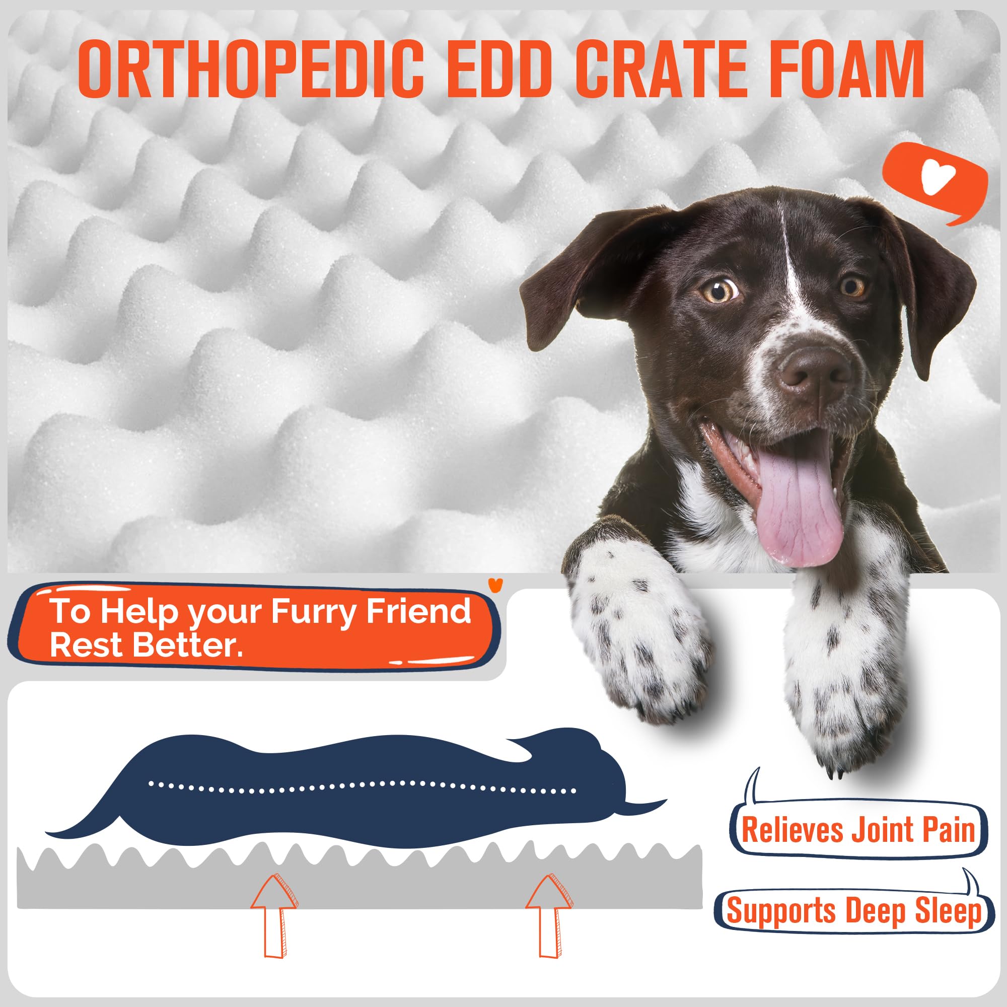 Simple Trending egg-crate foam dog bed highlights supportive foam layers