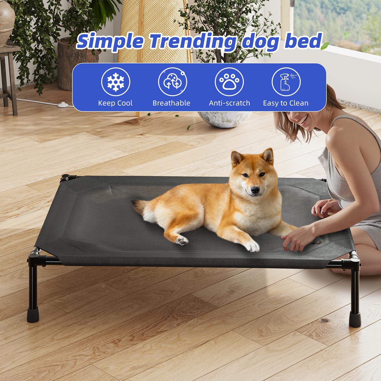 Simple Trending elevated dog bed in black finish fits modern homes and outdoor spaces