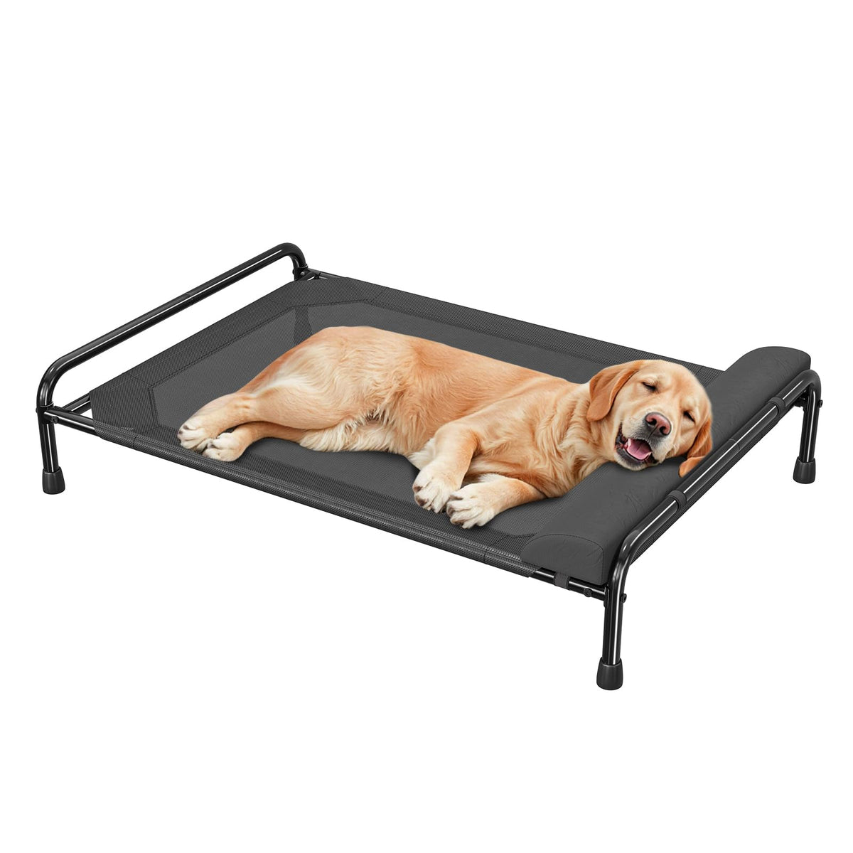 Simple Trending elevated dog bed outdoors highlighting cooling design for hot days.