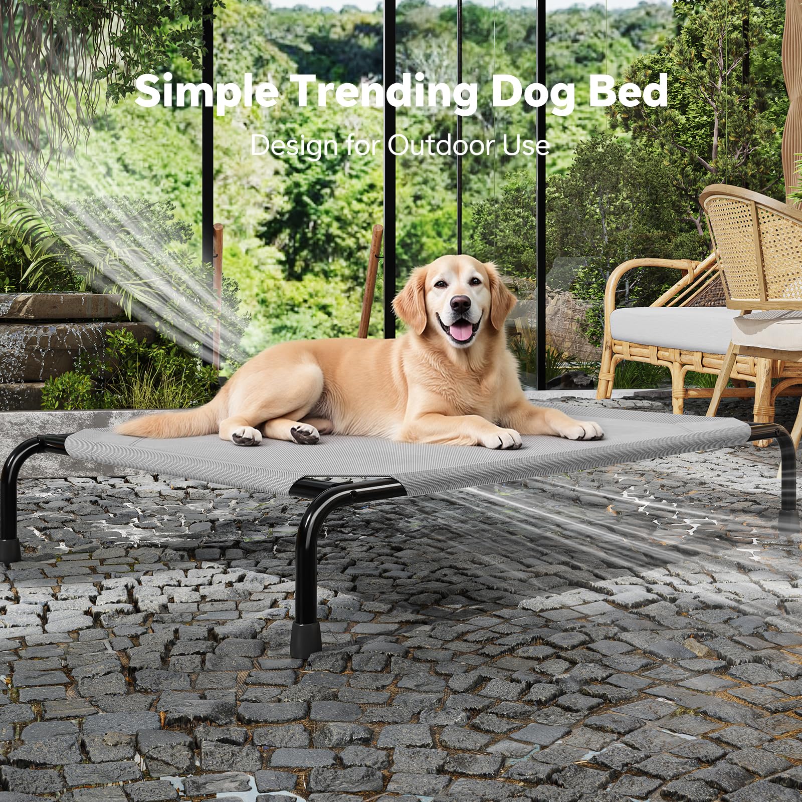 Simple Trending raised dog bed two-people-assembly capturing sturdy setup tips.
