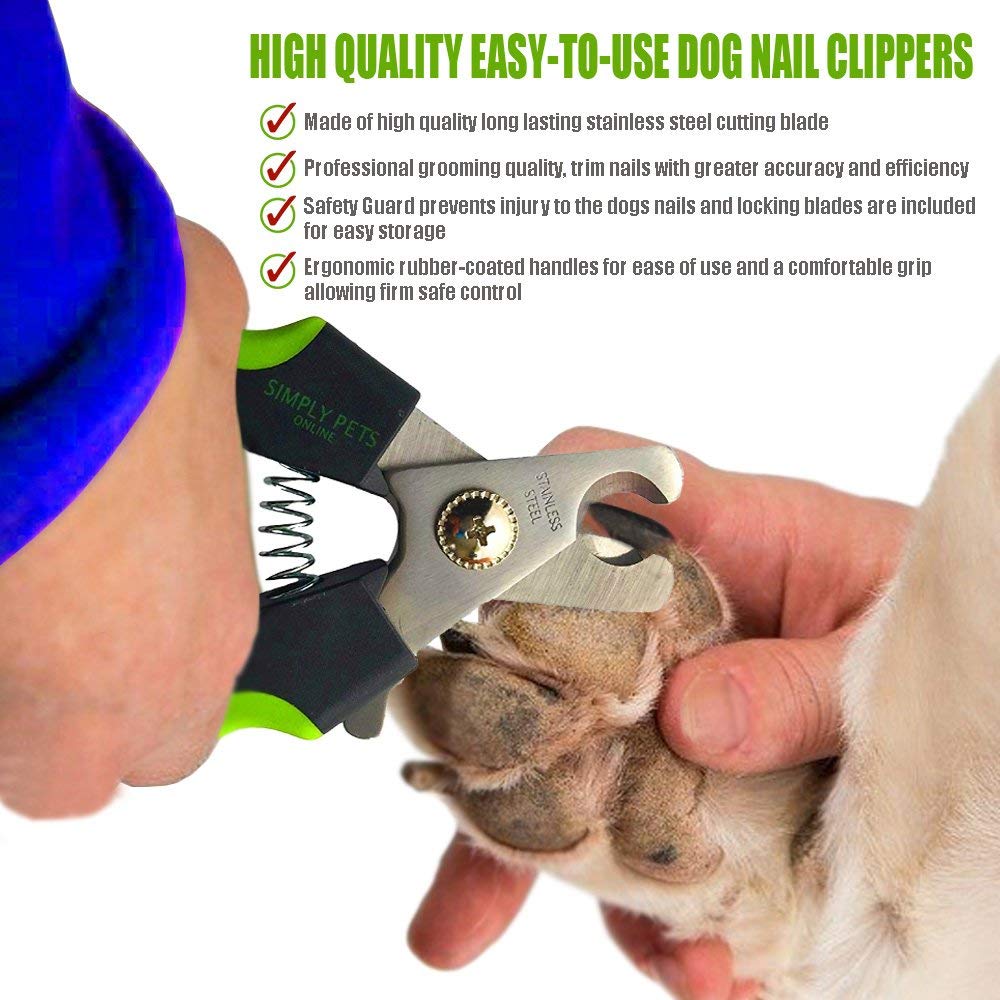 Simply Pets Online large-dog nail trimmers in use for easy handling