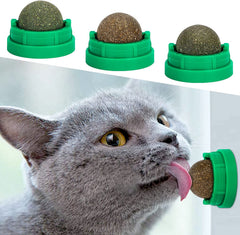 SINROBO catnip ball wall-attachment for interactive indoor play and mess-free fun.