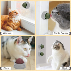 SINROBO catnip balls being chewed to support dental-friendly play.