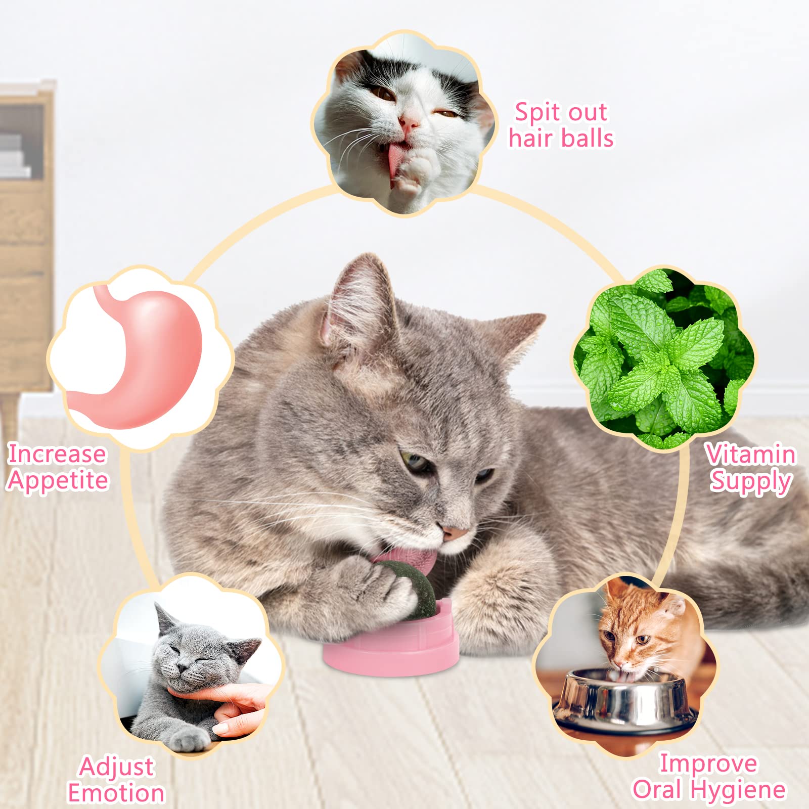 SINROBO edible cat toy promoting potential teeth cleaning as cats chew