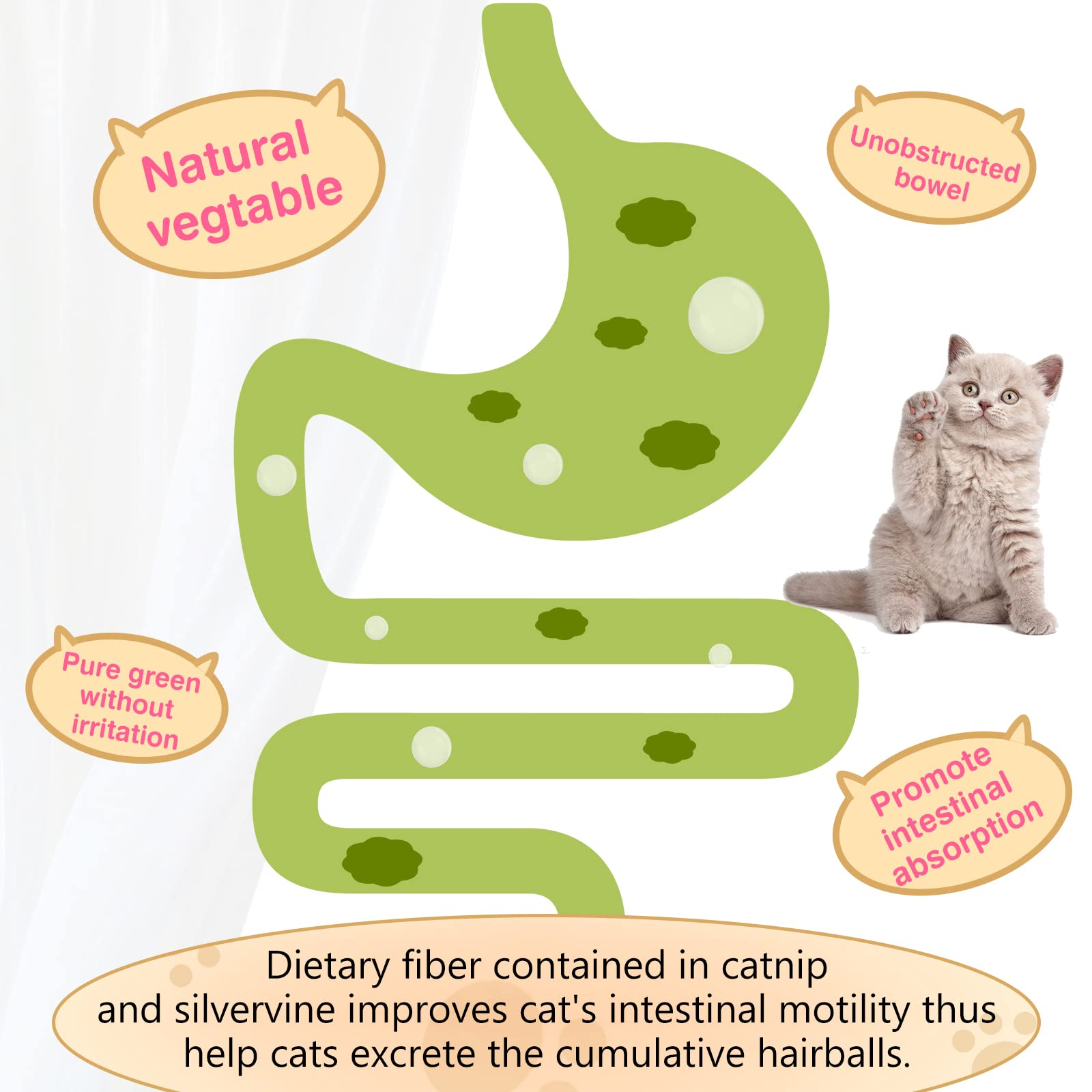 SINROBO note about kitten age under 3 months for product suitability