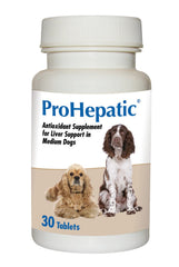 Sioditin Prohepatic dog liver support bottle helps maintain liver function for NSAID users.