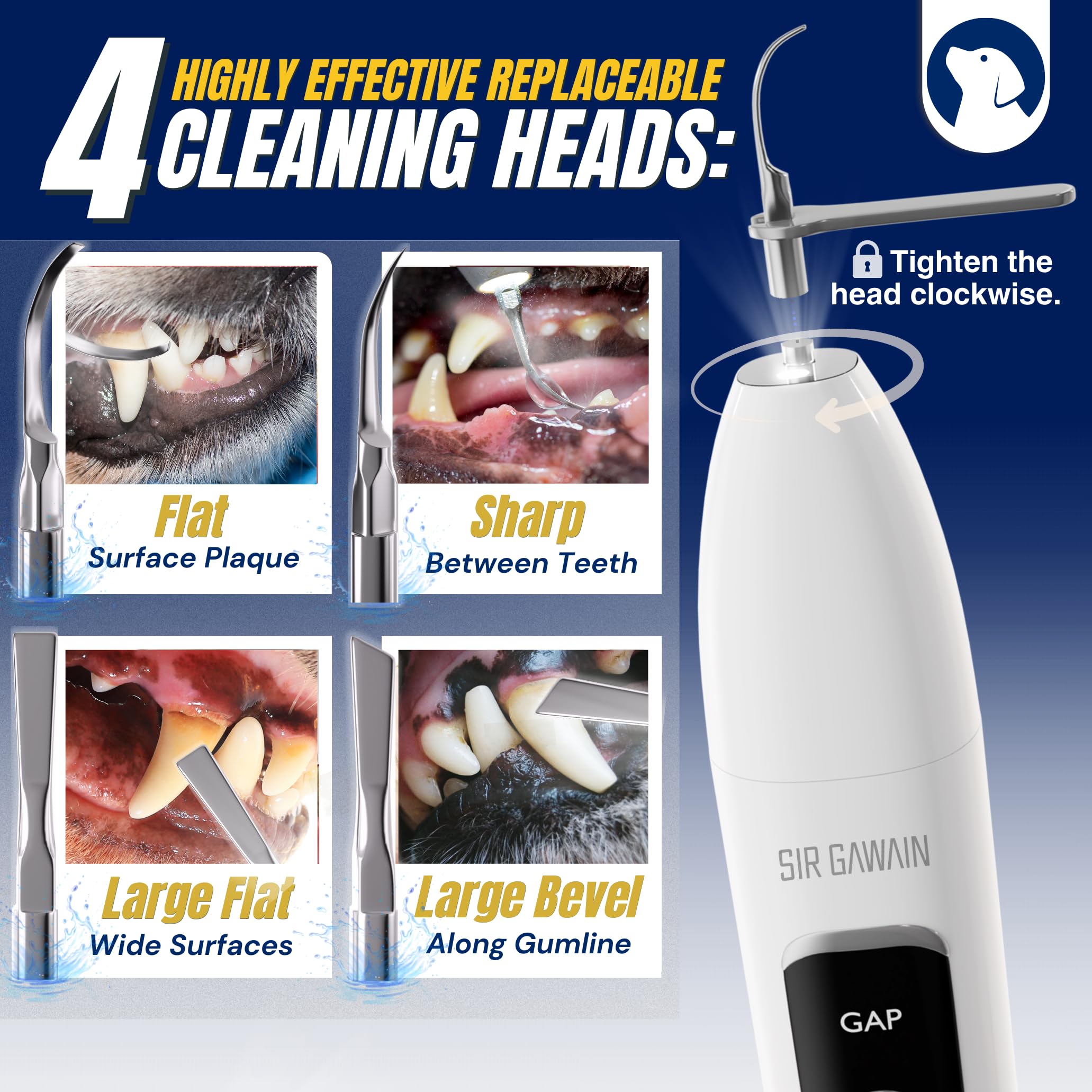 SIRGAWAIN LED light enhances visibility during dental sessions