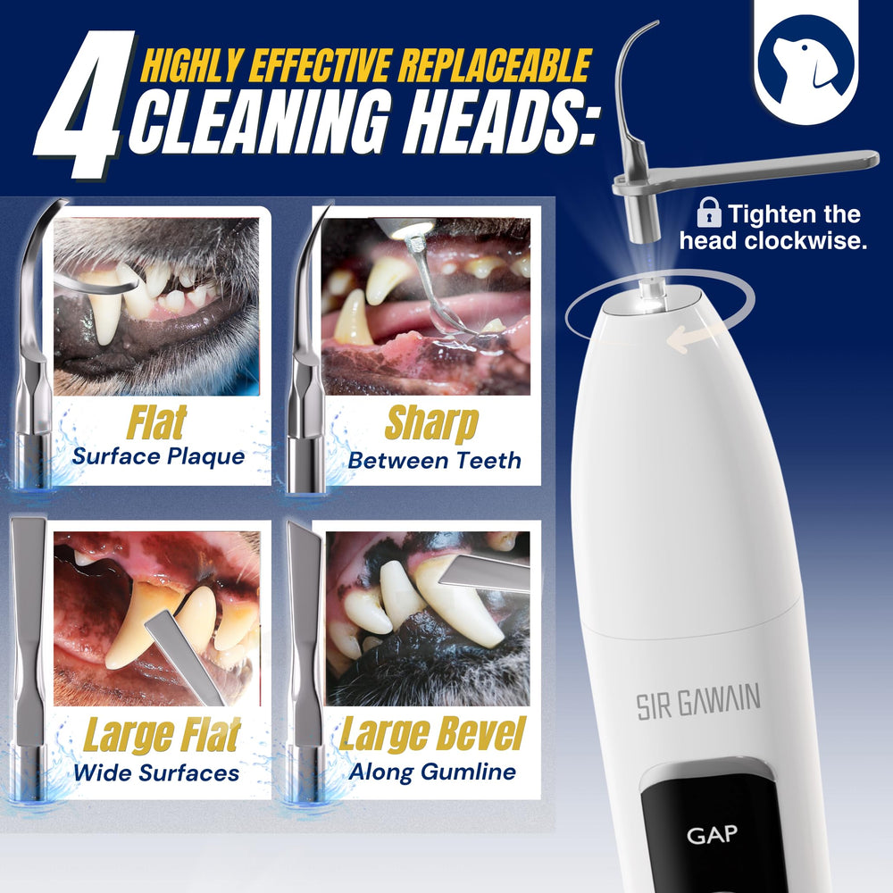 SIRGAWAIN LED light enhances visibility during dental sessions
