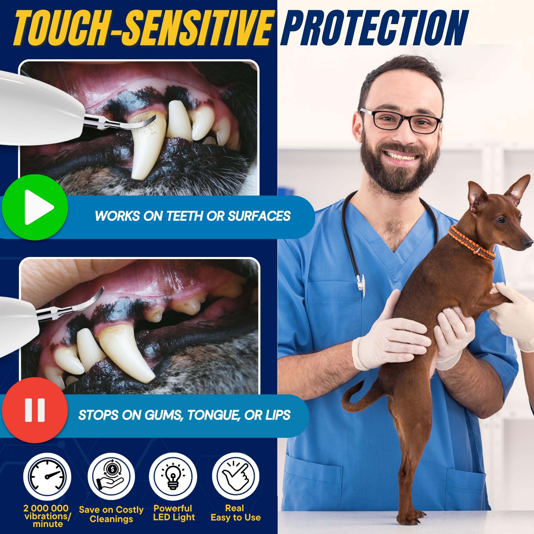 SIRGAWAIN replaceable heads pack for versatile plaque removal