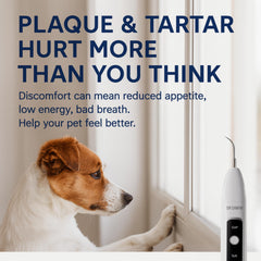 SIRGAWAIN ultrasonic cleaner for dogs and cats shows tartar reduction at home
