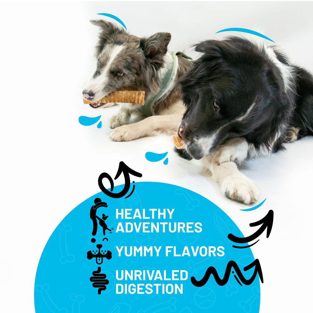 SITKA beef split trachea canoe 6in long-lasting chew supports dog happiness