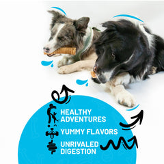 SITKA beef split trachea canoe 6in long-lasting chew supports dog happiness