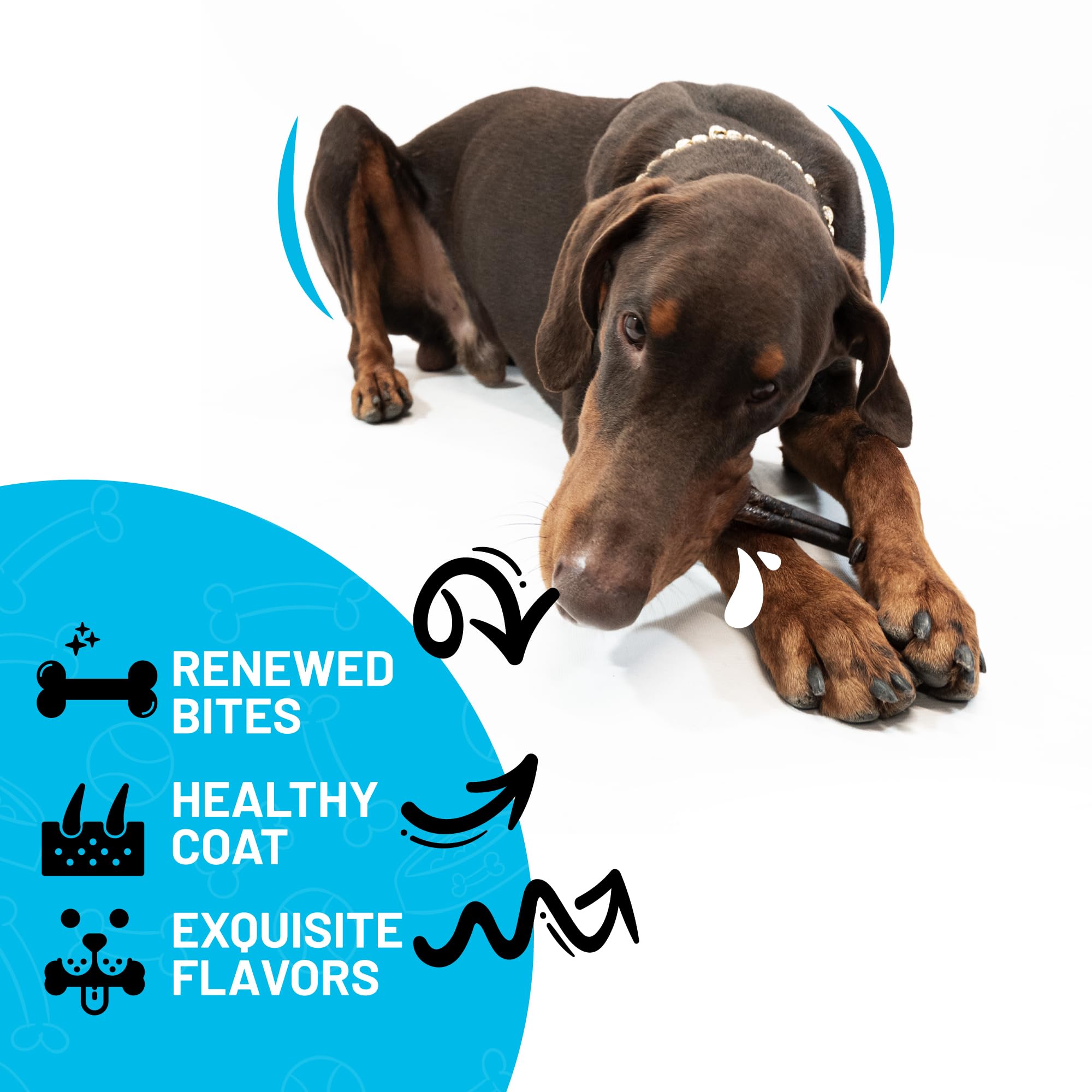 Sitka Farms collagen-stick dog chewing demonstrates engagement and joint-support benefits.