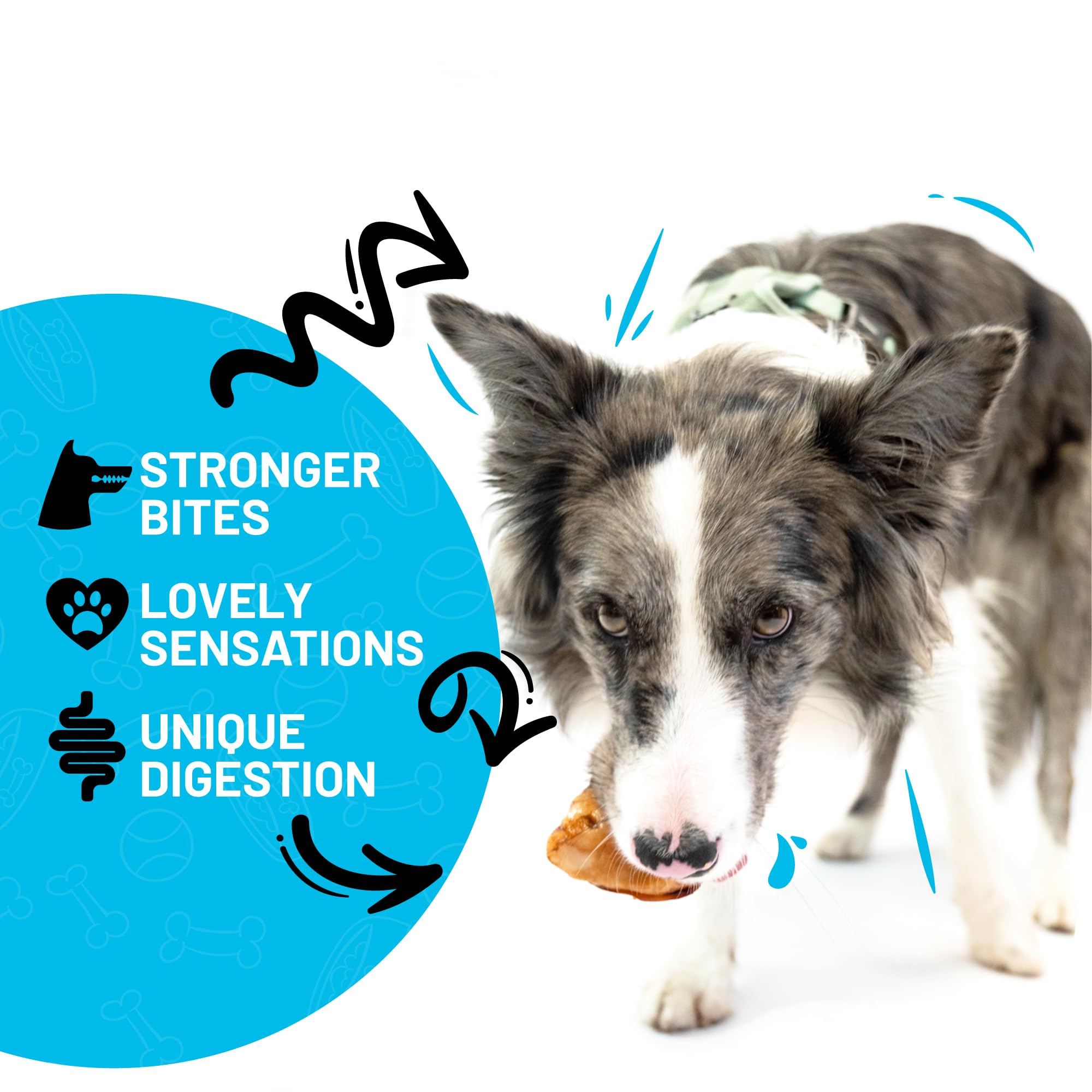 Sitka Farms dog chews in use illustrate training rewards and safe chewing.