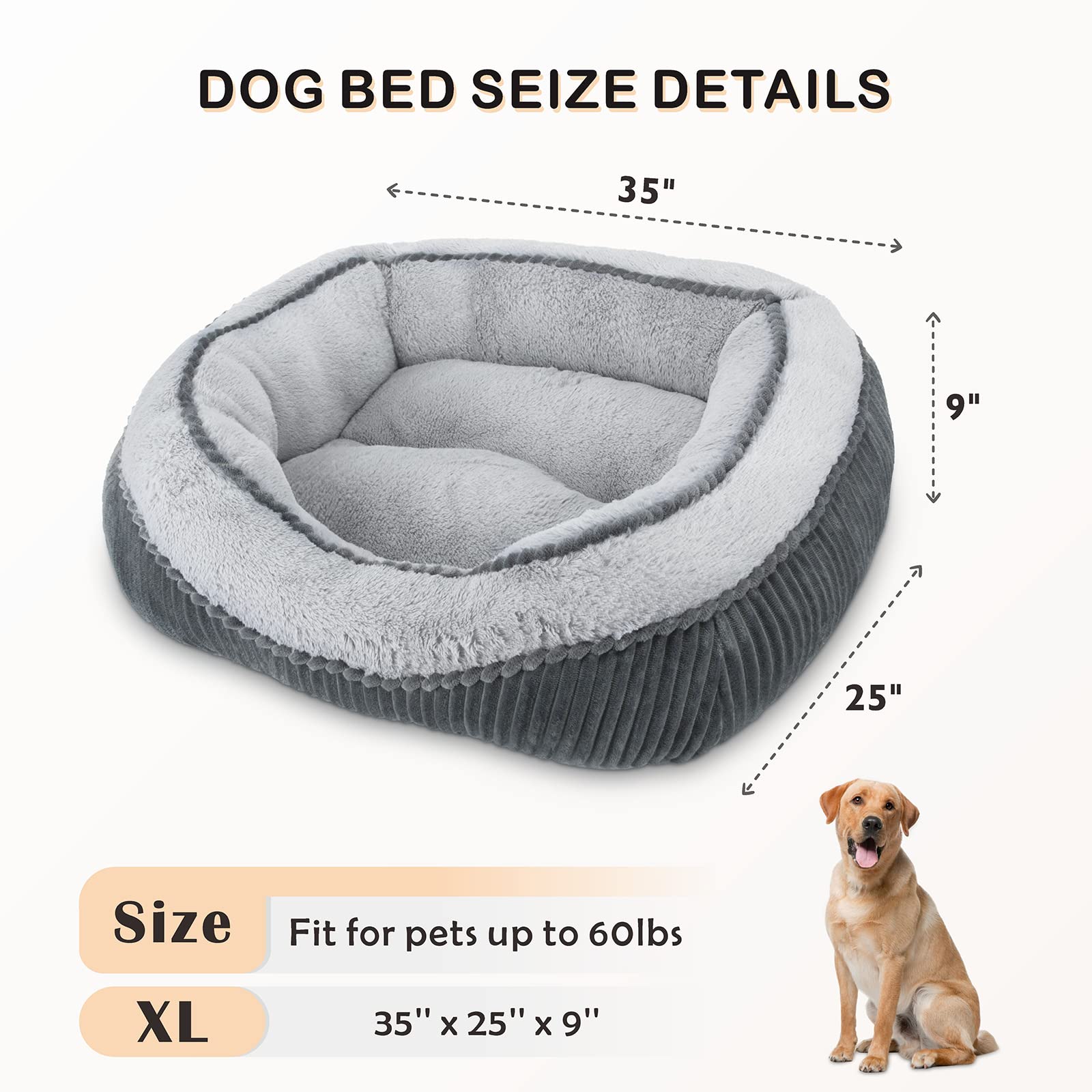 SIWA MARY orthopedic-support dog bed helps ease joints during lounging after walks.