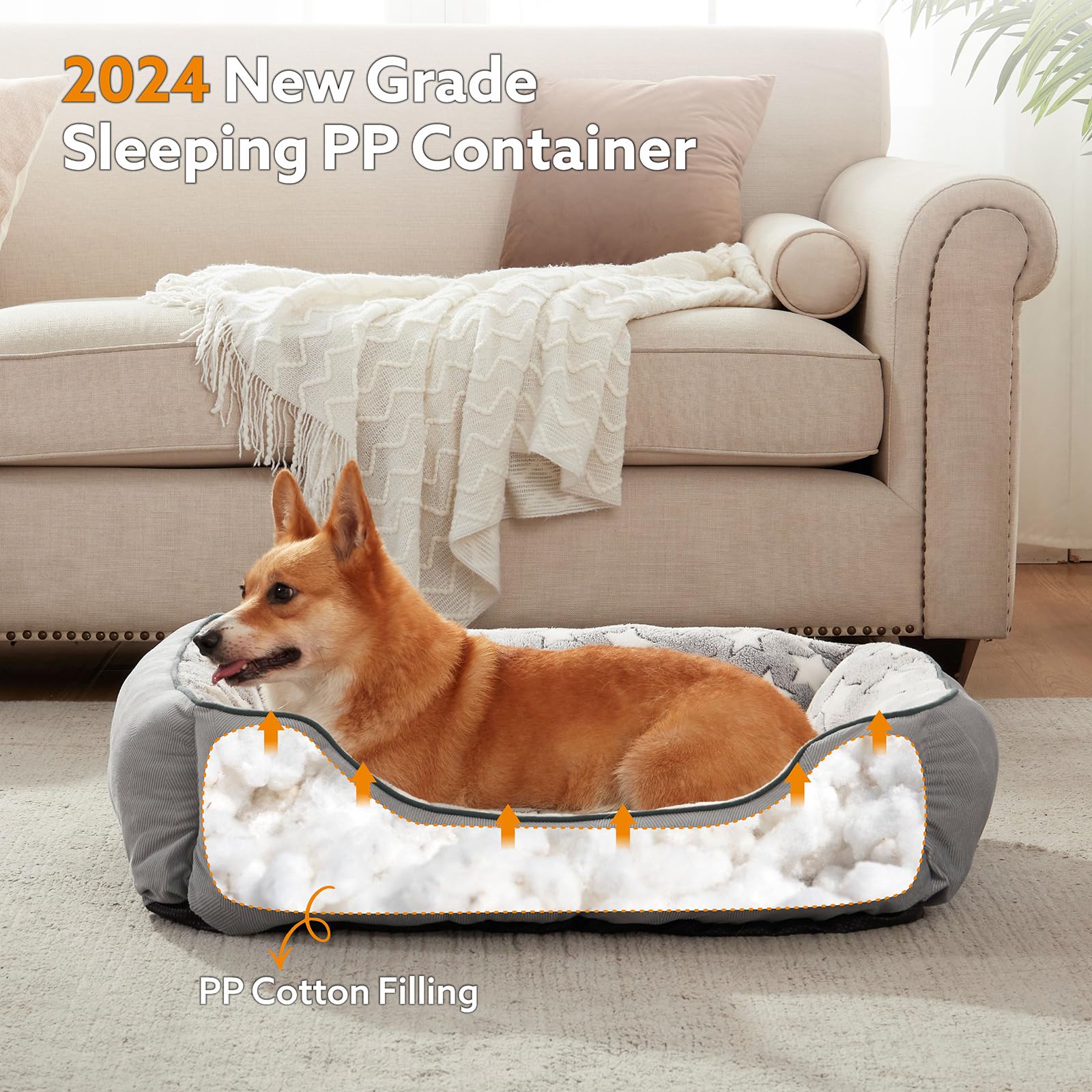 SIWA MARY various sizes fit small to medium dogs up to 30 pounds.