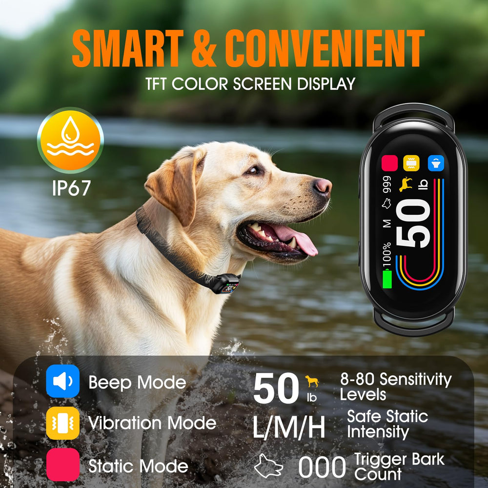 SKBAK IP67 waterproof rating keeps the collar ready for rain and water adventures.