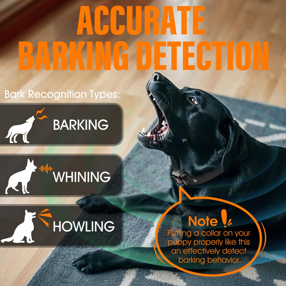 SKBAK bark collar TFT screen shows barking triggers and progress in real time.