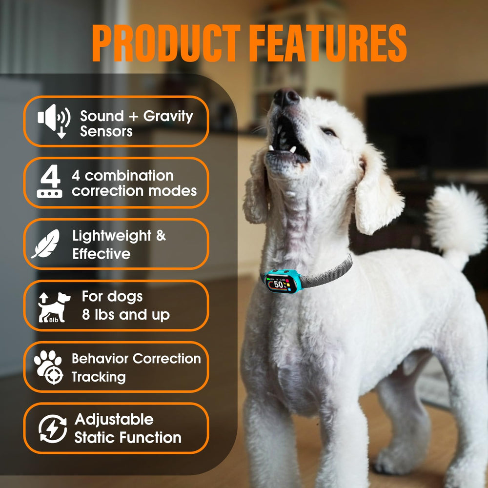 SKBAK collar on a dog's neck enabling discreet quiet training
