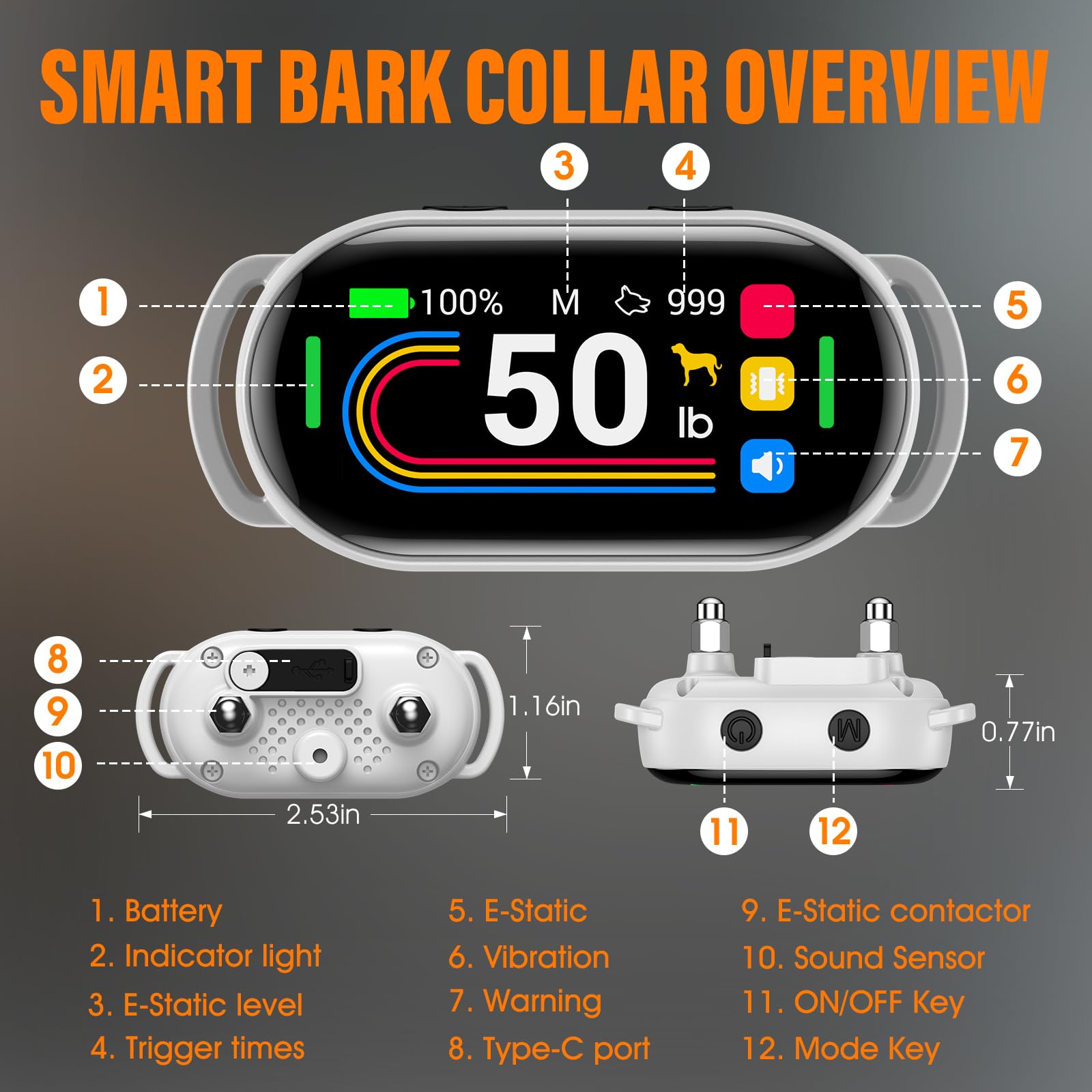 SKBAK IP67 waterproof collar endures rain and splashy adventures