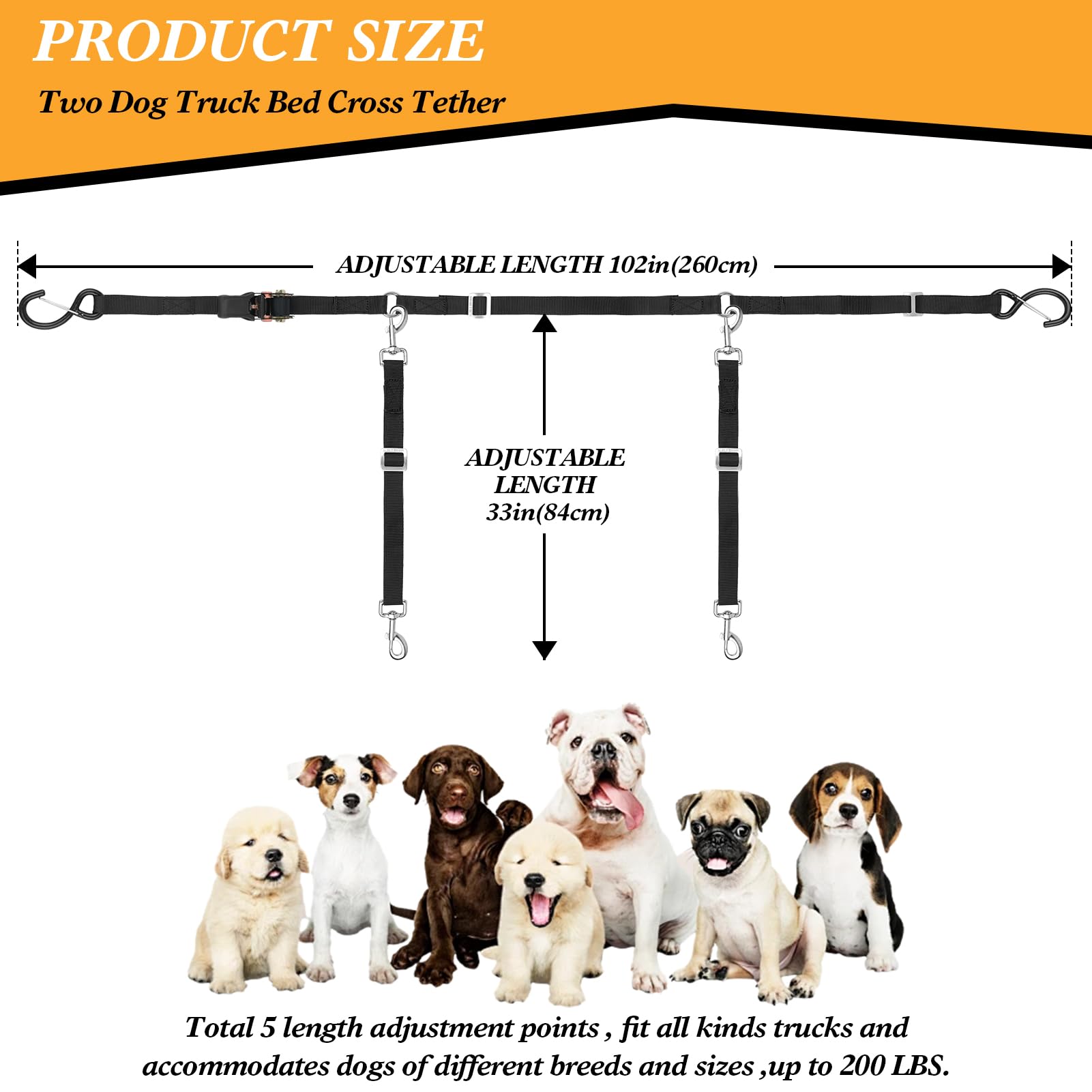 Skipwall two-dog tether quick setup shown for hassle-free pet transport in a vehicle.