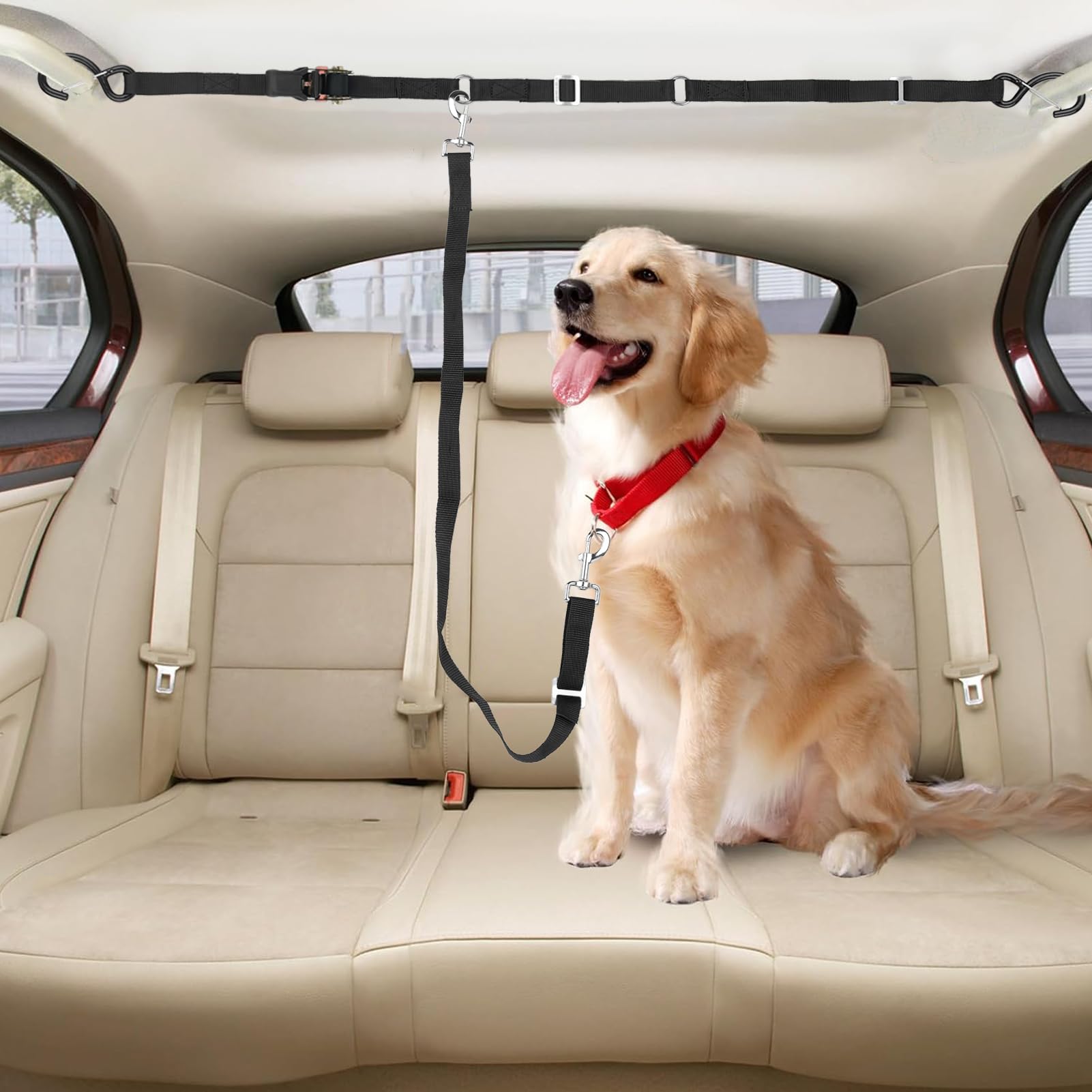 Skipwall two-dog travel tether demonstrated securing two dogs in a truck bed.