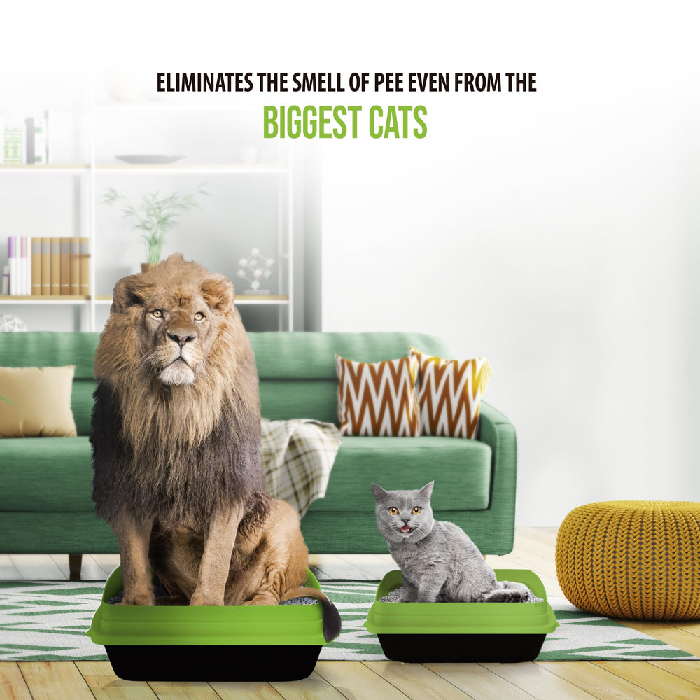 Skoon Cat Litter dust-free surface emphasizing hypoallergenic formula