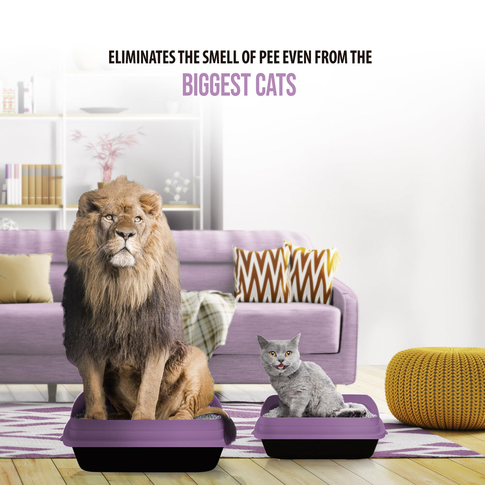 Skoon lavender eco-friendly lightweight litter—reduces carbon paw print in daily use.