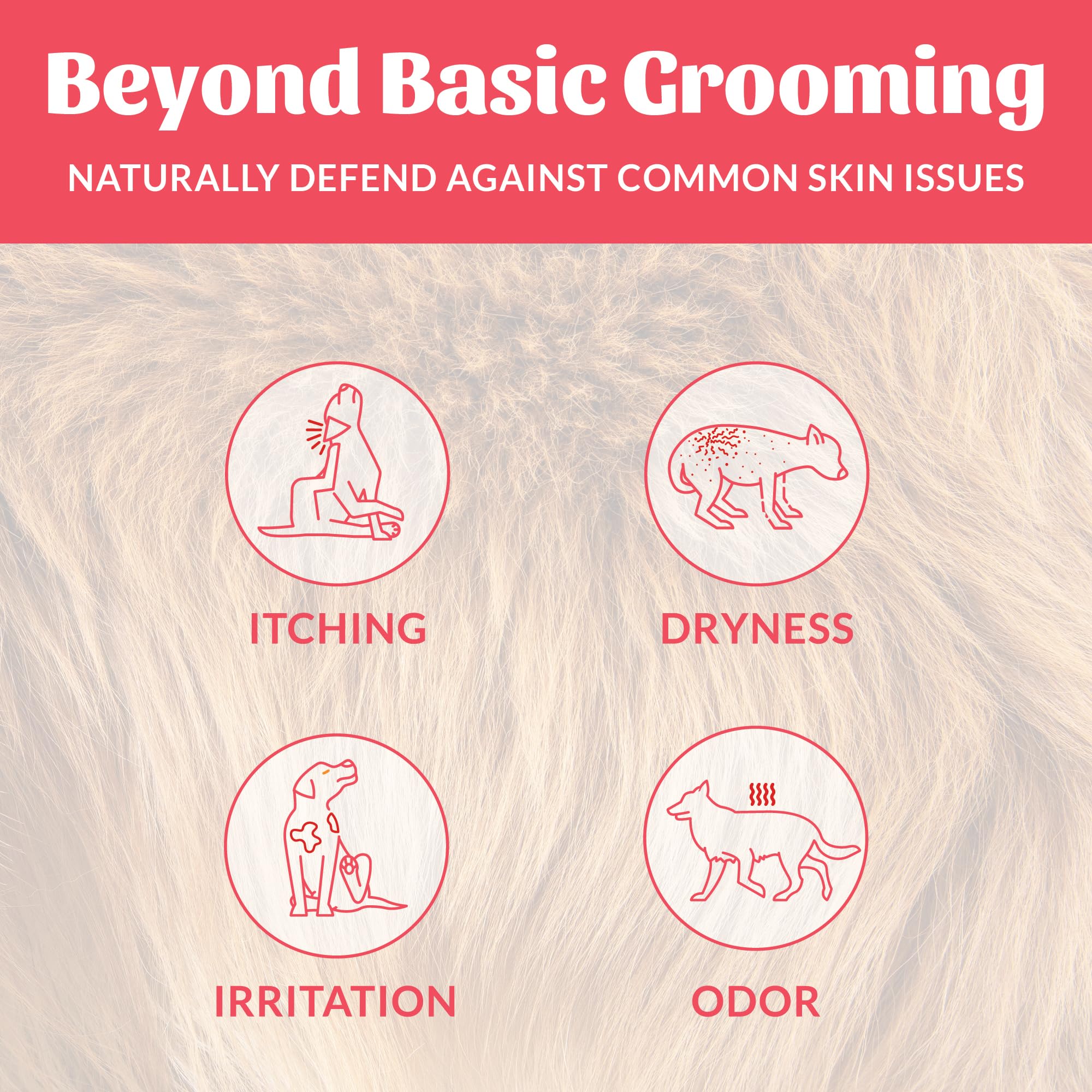 Skout's Honor avocado oil ingredient panel with conditioning moisture