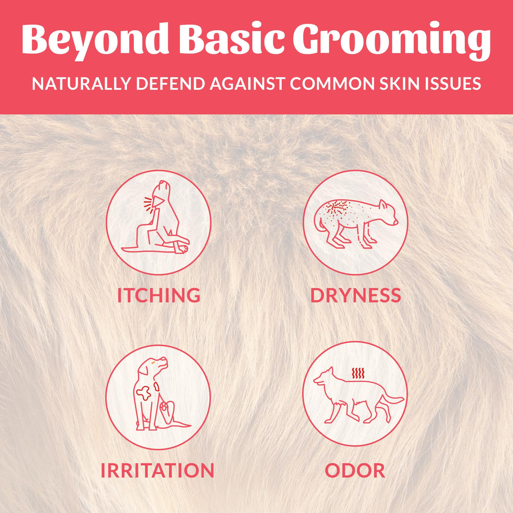 Skout's Honor avocado oil ingredient panel with conditioning moisture