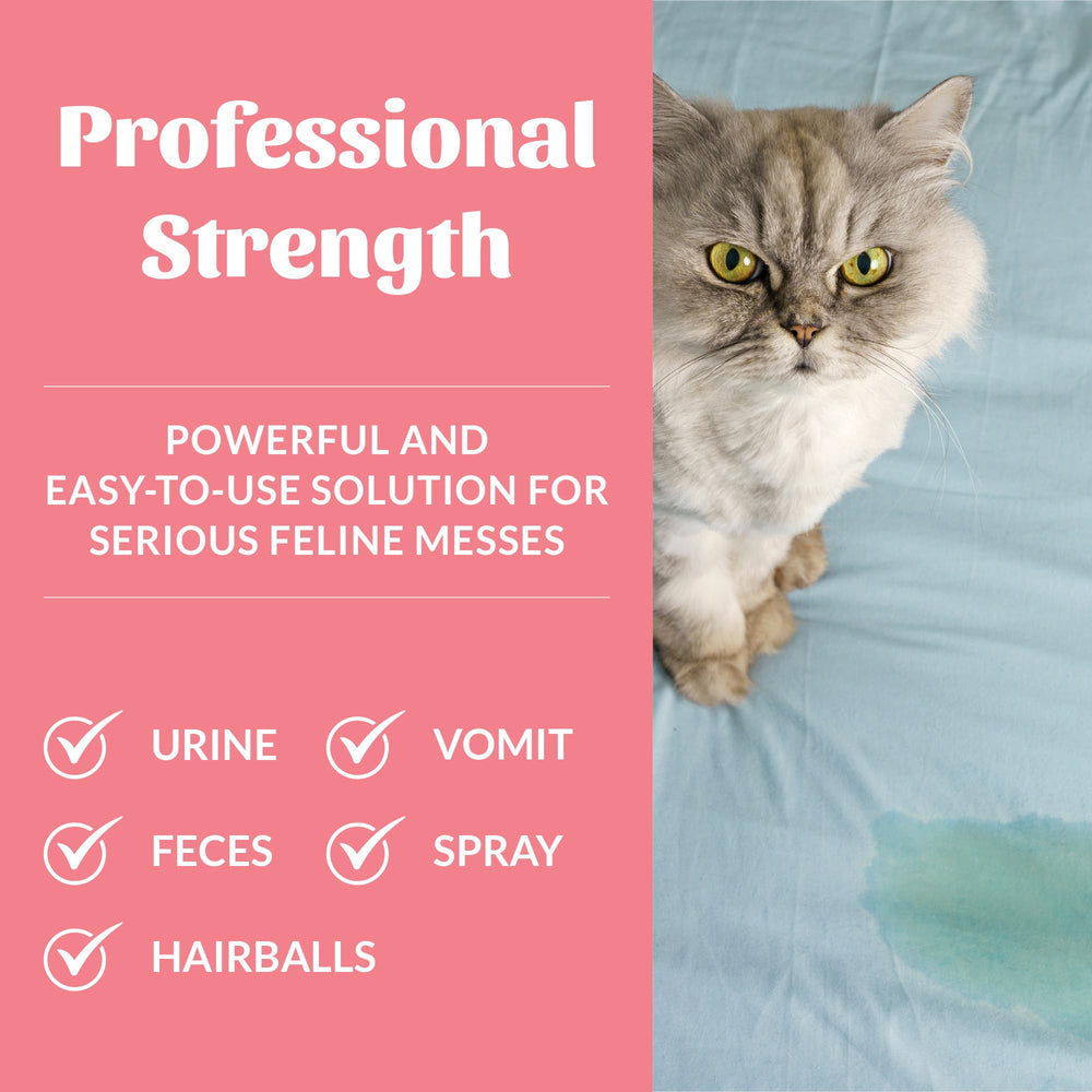 Application on carpet demonstrates odor-elimination potential with Skout's Honor cleaner.