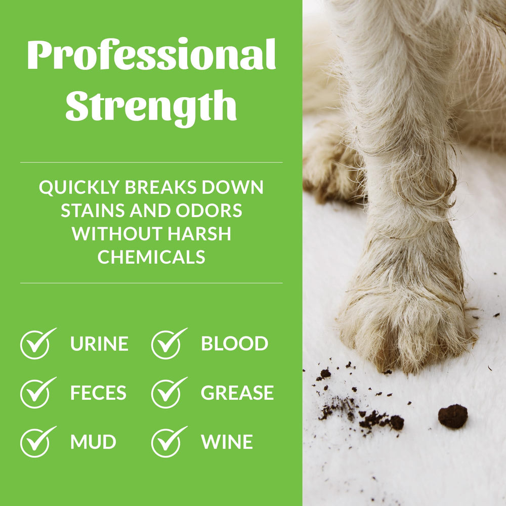 Skout's Honor eco friendly cleaner bottle highlights pet safe ingredients